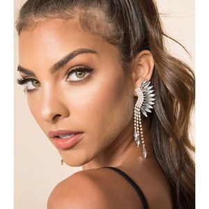 Daya Dusters earrings from 8 other reasons Rare SOLD OUT